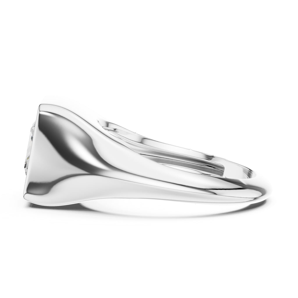The Fortress Setting 2ct White Gold Princess